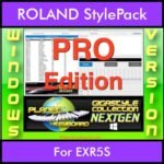 GIGASTYLECOLLECTION NEXTGEN By PK PROFESSIONAL EDITION With Style Player Software Vol. 1  - FOR PC - 9800 Styles for ROLAND EXR5S in STL format
