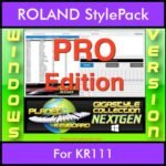 GIGASTYLECOLLECTION NEXTGEN By PK PROFESSIONAL EDITION With Style Player Software Vol. 1  - FOR PC - 9800 Styles for ROLAND KR111 in STL format