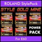StyleGoldMine By PK POWERPACK STYLEGOLDMINE Vol. 1  - Vol. 06 to Vol. 10 - 300 Styles / Song Styles for ROLAND E60 in STL format
