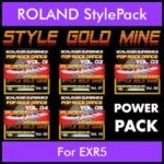 StyleGoldMine By PK POWERPACK STYLEGOLDMINE Vol. 1  - Vol. 06 to Vol. 10 - 300 Styles / Song Styles for ROLAND EXR5 in STL format
