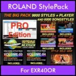 The BIG Pack By PK Incl. GSC NEXTGEN PRO 9800 Styles With Style Player Vol. 1  - 15800 Styles Splitted into - 9800 Styles and 6000 Song Styles for ROLAND EXR40OR in STL format